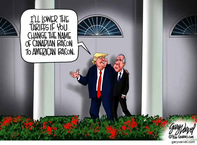Cartoon commentary